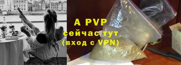 а пвп мука Богданович