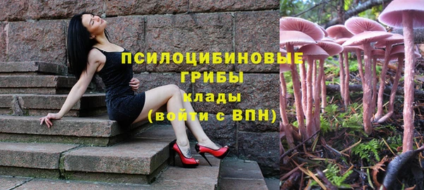 а пвп мука Богданович